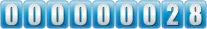 website hit counter